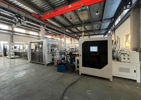 Vuoto completamente automatico della macchina della bolla che può produrre i prodotti direttamente dalle palline di materia prima