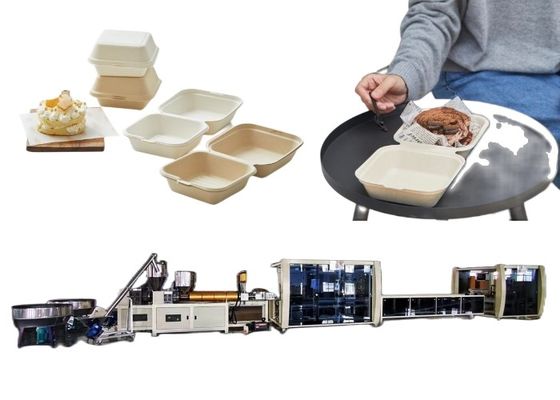 Linea macchina biodegradabile eliminabile del contenitore di hamburger del macchinario della bolla del contenitore di alimento